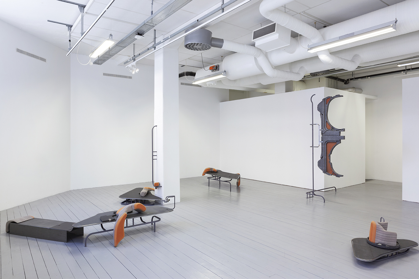 Carina Emery - Spiral Organs, 2021